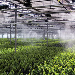 Misting, Cooling & Fogging Pumps